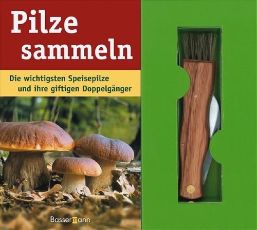 Pilze sammeln die wichtigsten - pilze,
