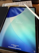 Apple iPad Pro 11” (1. Gen, A1980) - Top Zustand 