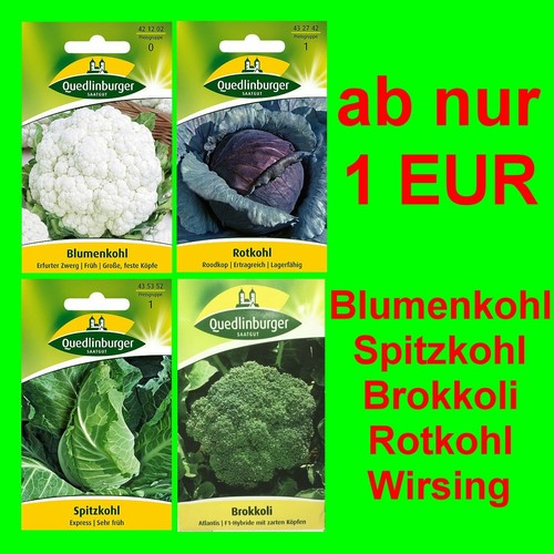 Blumenkohl blaukohl spitzkohl - blaukohl,
