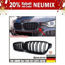 Grill Kühlergrill Nieren