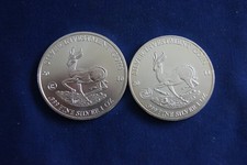 Silberunzen Malawi Springbock
