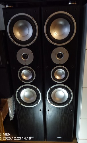 Magnat motion 1000 x - ,