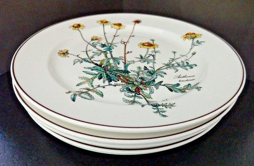 Villeroy boch botanica - villeroy&boch,