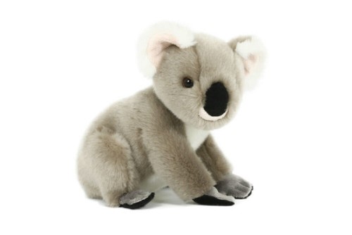 Plüschtier koala 19cm - plüschtier,