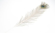 NaDeco Pfauenfeder 1 Stk