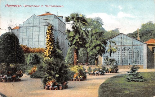 406850 palmenhaus in - 2, ak