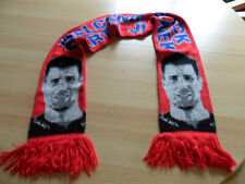 Ice Tigers Nürnberg Schal "Welcome Back Martin Jiranek"