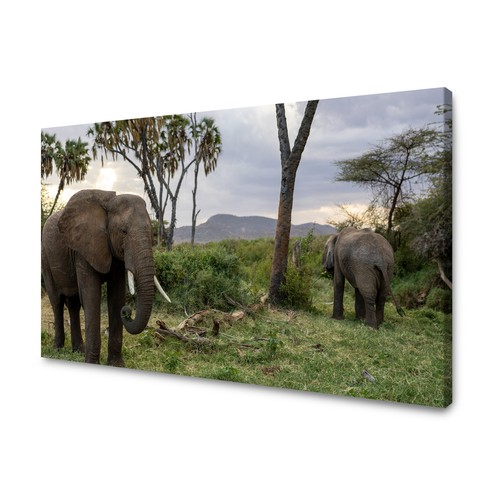 Canvas leinwandbilder xxl - canvas,