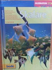  Skalare