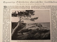 RK 1917 Zeitungsdruck 3860 Ostpreußen Nidden purwin Warnicken