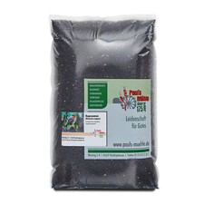 Rapssamen Raps Rapssaat doppelt gereinigt beste Qualität von Paul's Mühle