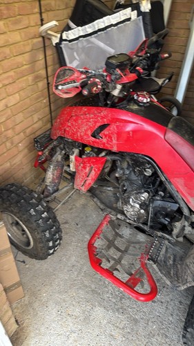 Quadzilla dinli 450 - quadzilla,