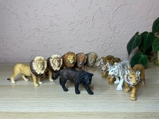 verschiedene Raubkatzen von