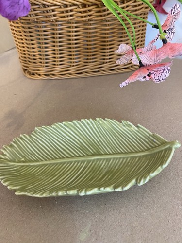 Temerity jones banana leaf - temerity,