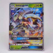 PTCG Pokemon Chinese Card