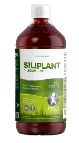 Silicium siliplant orgono - siliplant,