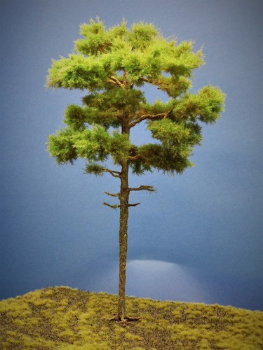 Diorama modell nadelbäume 1 - nadelbäume,,