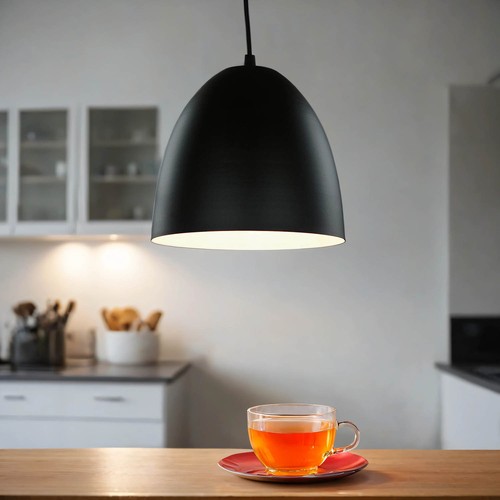 Pendelleuchte schwarz ø20cm - pendelleuchte,