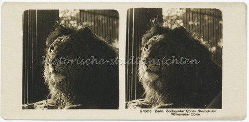 Berlin zoologischer garten - berlin,