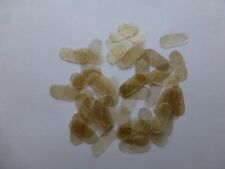 50 X Bridge Pergament/Schutz