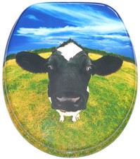 Sitz toilettendeckel - sitz,