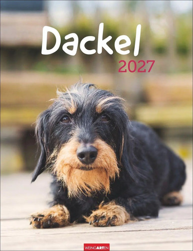 Dackel kalender 2027 - dackel,