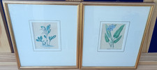 2er set botanische - 2er,