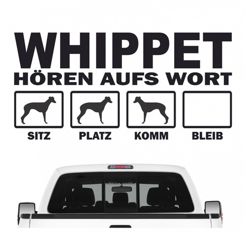 Whippet windhund hört aufs - windhund,