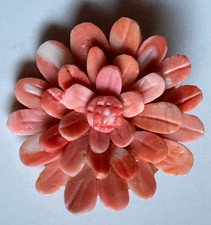 Engelshautkoralle Brosche -