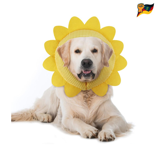 Aufblasbarer halskrause hund - aufblasbarer,