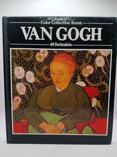 Vincent van gogh buch - vincent,