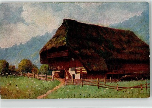 52161866 schwarzwaldhaus - 52161866,
