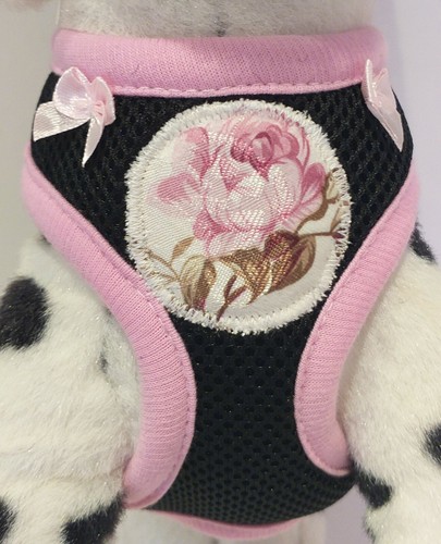 Hundegeschirr schwarz rosa