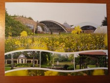 Postkarte 2619 nicht gelaufen