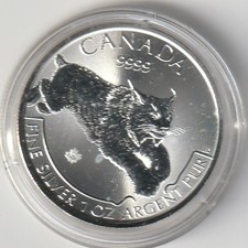 Canada Predator Serie -  Luchs