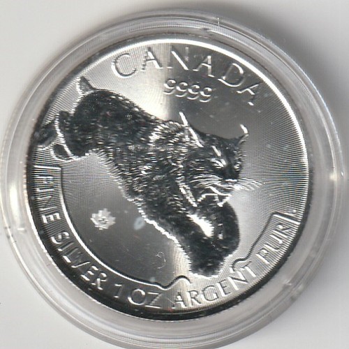 Canada predator serie - , luchs