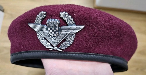 Kroatisches luftwaffen kampf - luftwaffen,
