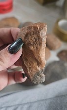 kl Biface Handaxt Quarzit Steinzeit Werkzeug Paleontologisch Fossilien Sahara