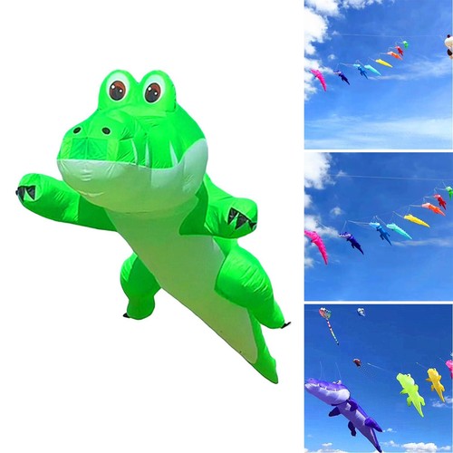 Robuster kreativer drachen - robuster,,
