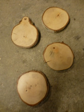 4 Birkenscheiben, trocken, Birke, DEKO, Bastelholz Durchmesser 10-11 cm