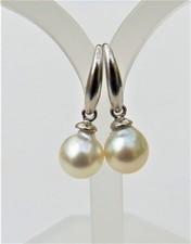 Südsee Perlen Ohrringe