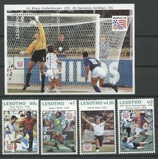 Fußball-WM, Soccer - Lesotho