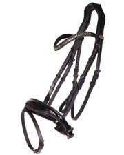 QHP Bridle Orlando