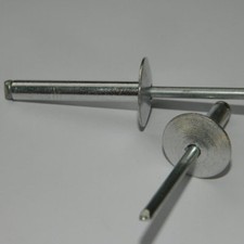 50 Stück  Großkopf