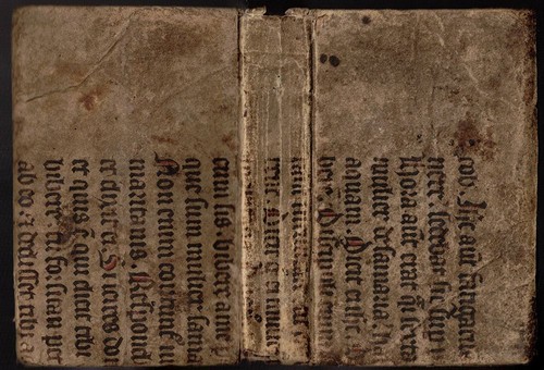 Summa doctrinae christianae - summa,