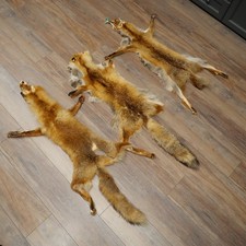 Fuchsfell 3 x Rotfuchsfell