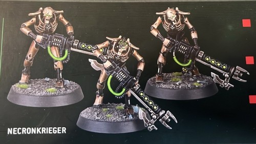 Warhammer 40k necronkrieger - warhammer, 3