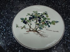 VILLEROY & BOCH BOTANICA