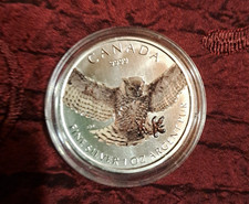 5 Dollar Kanada 2015 coloriert 999 Ag  Eule   Owl