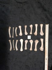 Echte Tier Knochen Hexen